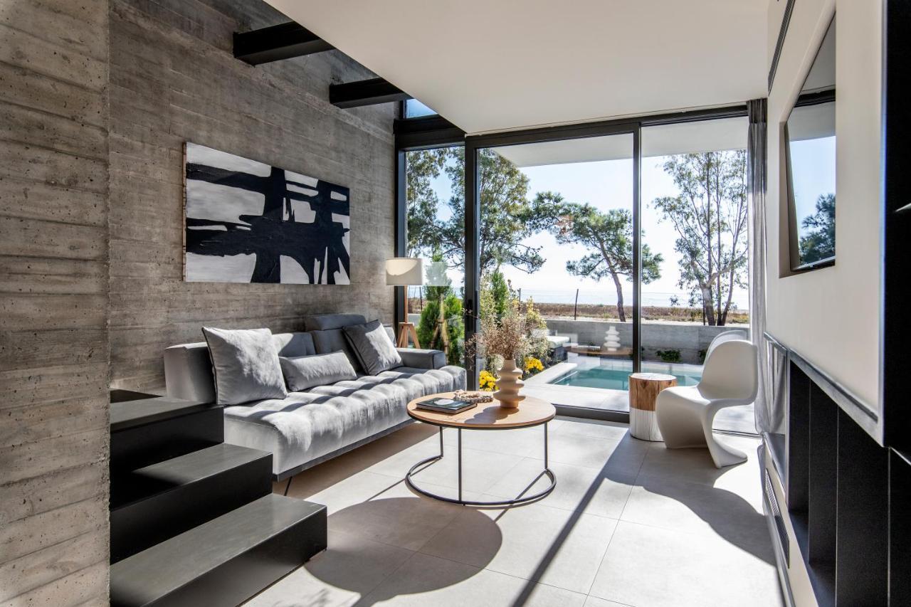Ikies 3 Modern Eco-Friendly Private Seaview Signature Villas With A Pool Vólosz Kültér fotó